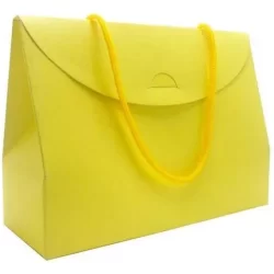 Kit Sacolas 20 unidades